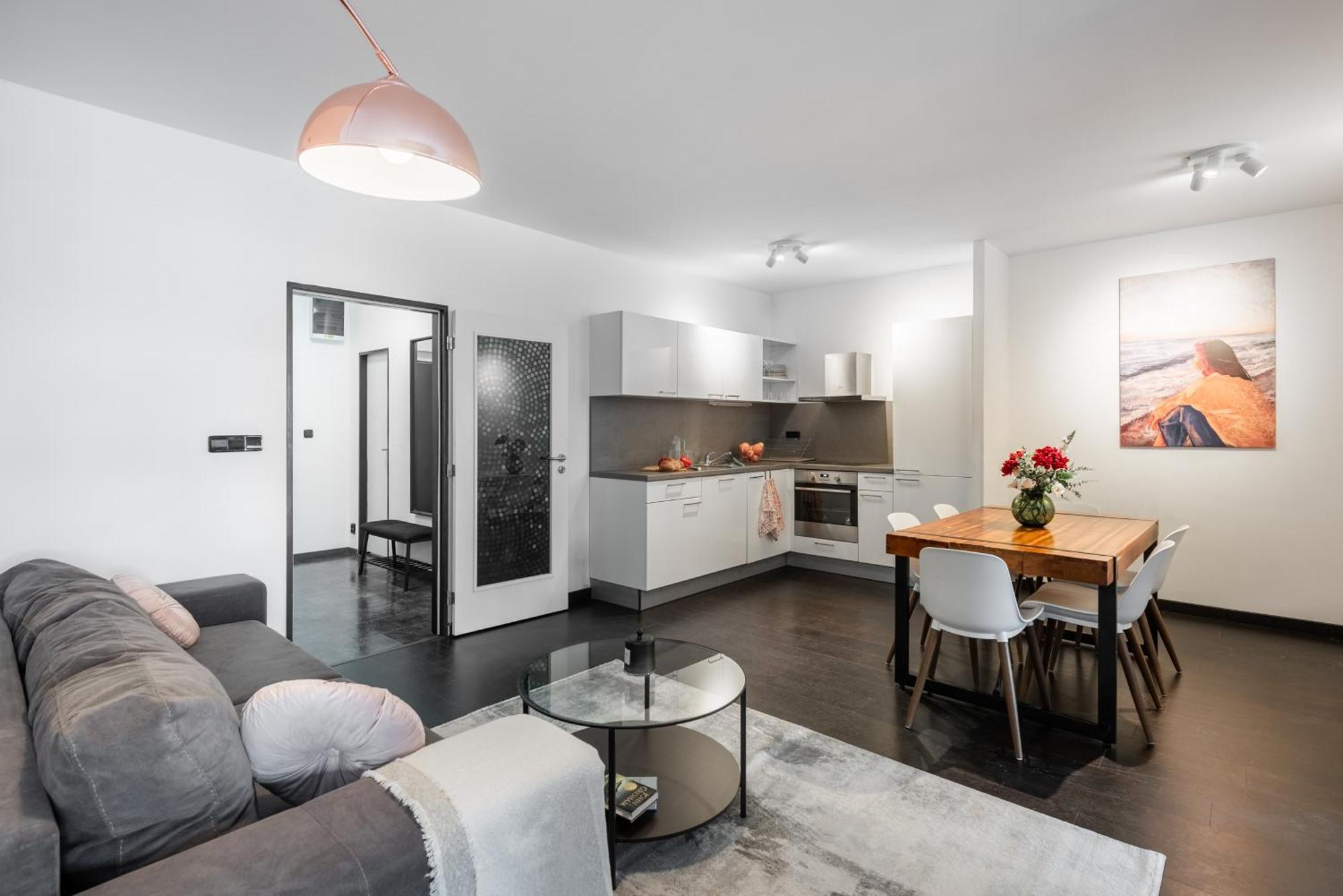 Spacious Apartments Near Karlin Square Prague Ngoại thất bức ảnh